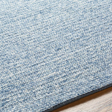 Carregar imagem no visualizador da galeria, Alyra Light Blue Solid Area Rug - Clearance

