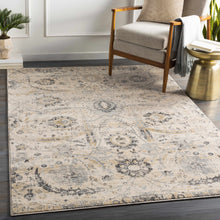 Carregar imagem no visualizador da galeria, Georgiana Beige Area Rug
