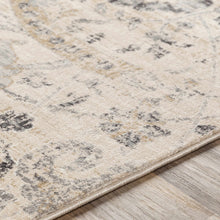 Carregar imagem no visualizador da galeria, Georgiana Beige Area Rug
