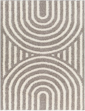 Carregar imagem no visualizador da galeria, Arnel Brown Area Rug - Clearance
