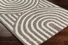 Carregar imagem no visualizador da galeria, Arnel Brown Area Rug - Clearance
