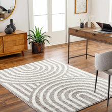 Carregar imagem no visualizador da galeria, Arnel Brown Area Rug - Clearance
