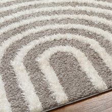 Carregar imagem no visualizador da galeria, Arnel Brown Area Rug - Clearance

