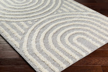 Carregar imagem no visualizador da galeria, Arnel Gray &amp; Beige Area Rug
