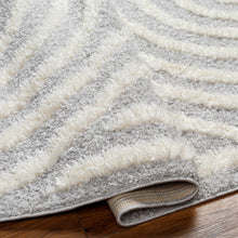 Carregar imagem no visualizador da galeria, Arnel Gray &amp; Beige Area Rug
