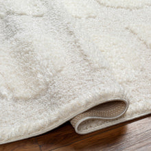 Load image into Gallery viewer, Dason Cream Area Rug - Clearance
