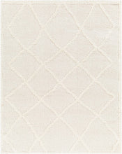 Load image into Gallery viewer, Daube Area Rug - Clearance
