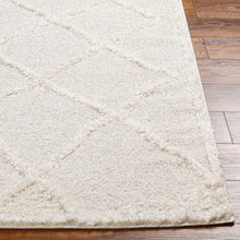 Load image into Gallery viewer, Daube Area Rug - Clearance
