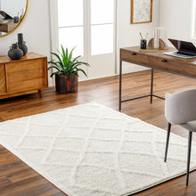 Load image into Gallery viewer, Daube Area Rug - Clearance

