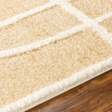 Carregar imagem no visualizador da galeria, Gilon Camel Plush Area Rug - Clearance
