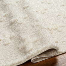 Load image into Gallery viewer, Satu Cream Area Rug
