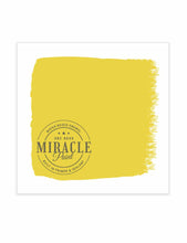 Load image into Gallery viewer, Miracle Paint (32 oz.)
