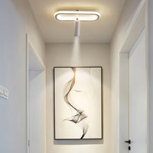 Load image into Gallery viewer, Taslit Downlight
