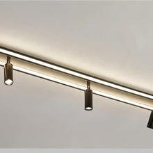 Load image into Gallery viewer, Taslit Downlight
