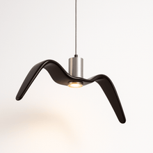 Load image into Gallery viewer, Tayir Pendant Light
