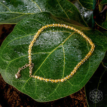 Load image into Gallery viewer, The Abundance Anklet
