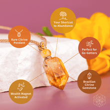 Load image into Gallery viewer, The Prosperity Pendant
