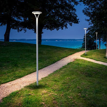 Carregar imagem no visualizador da galeria, Aurora Pro® | Outdoor Pole-Mounted Dusk to Dawn Solar Ambient/Security Light
