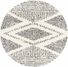 Load image into Gallery viewer, Trunding Plush Area Rug
