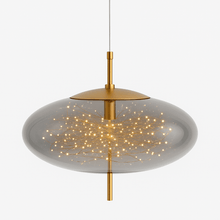Load image into Gallery viewer, Twirl Pendant Light
