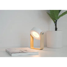 Carregar imagem no visualizador da galeria, USB Rechargeable &amp; Portable Lamp with Foldable LED Light Feature
