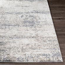 Load image into Gallery viewer, Vesper Textured Plush Area Rug
