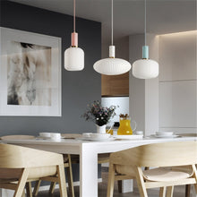 Load image into Gallery viewer, Vetreria Pendant Light
