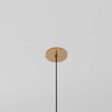 Load image into Gallery viewer, Vetreria Pendant Light
