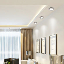 Load image into Gallery viewer, Winry Downlight
