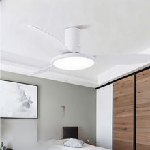 Load image into Gallery viewer, Zerua Ceiling Fan
