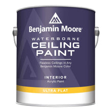 Carregar imagem no visualizador da galeria, Benjamin Moore Waterborne Ceiling Paint Ultra Flat (0508)
